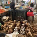 Mbale Market starch up_Brigit_Koch_s